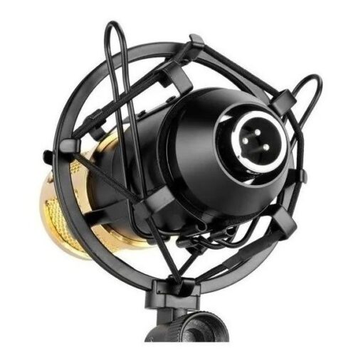 Micrófono Condenser Fifine F 800 Shockmount Estudio Podcast 7 D 642770 MLA44218457152 122020 F