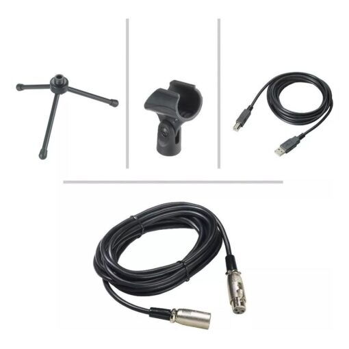 Micrófono Usb Audio Técnica At2005 Cardioide Con Accesorios 7 D 850119 MLA76640830460 062024 F