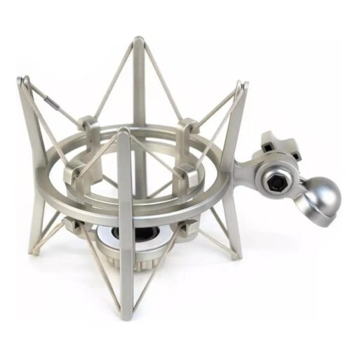 Micrófono Condenser Lexsen Lex87 De Gran Diafragma Con Araña 6 D 954529 MLA70330994724 072023 F