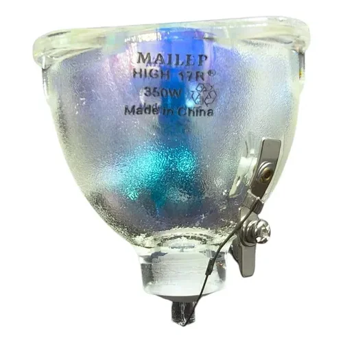 D 772167 MLA116983551629 082026 O sqt